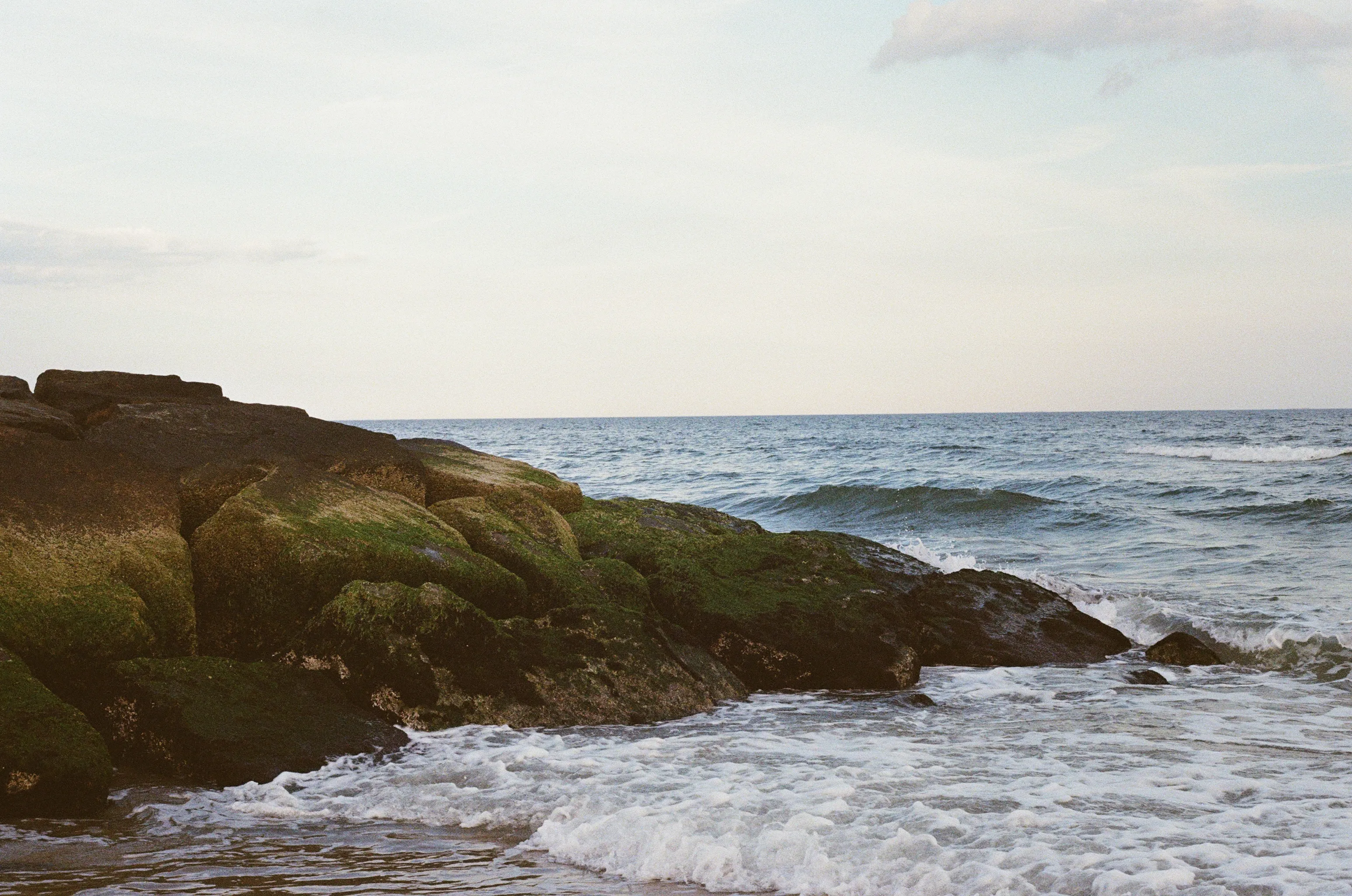 A mossy outcrop at Rockaway Beach