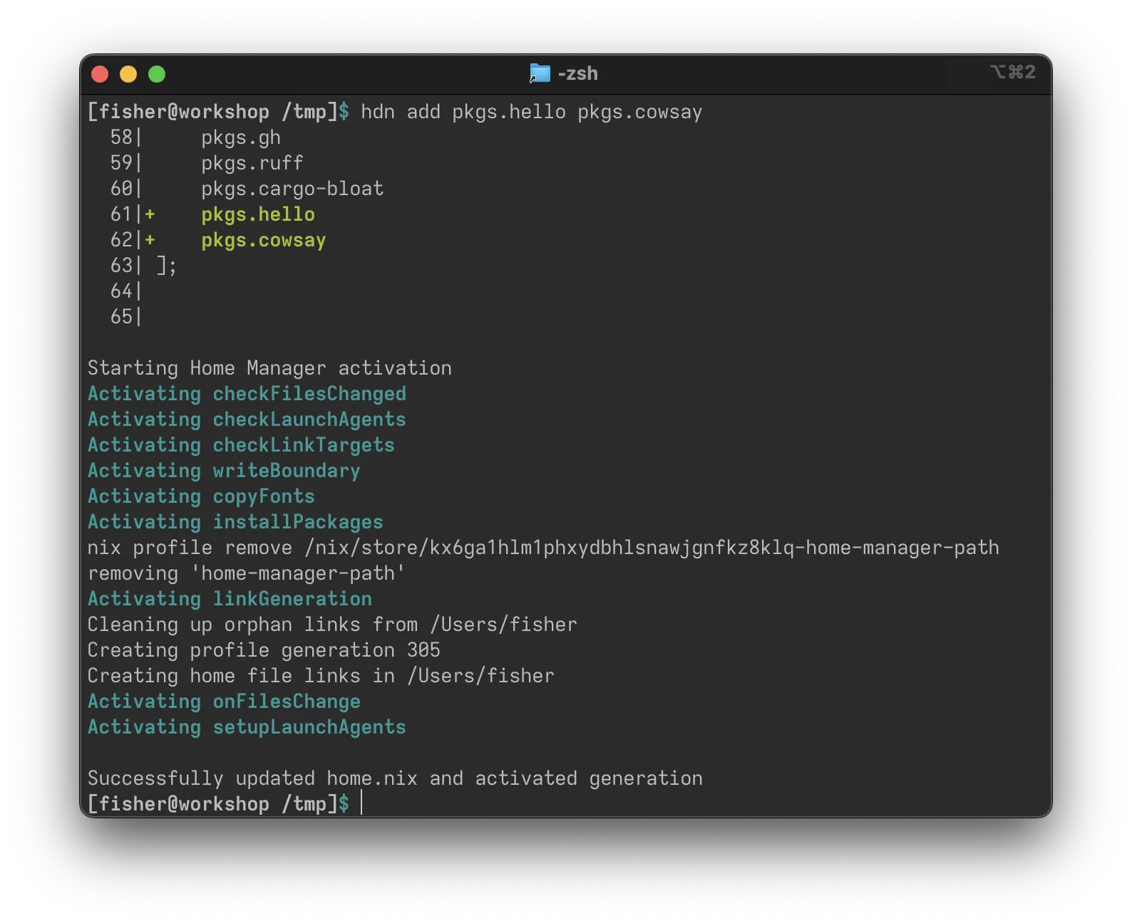 The command-line output of HDN. There is a diff of the home.nix file and the output of a home-manager invocation.